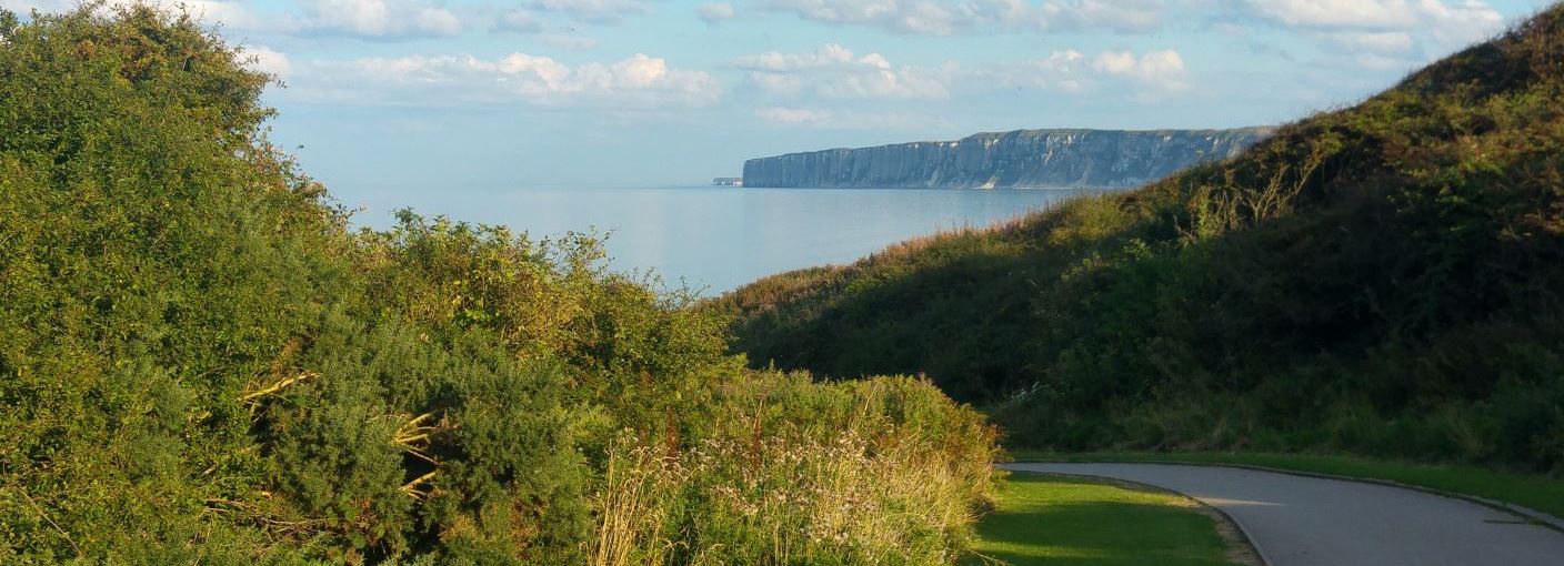 Filey Bay